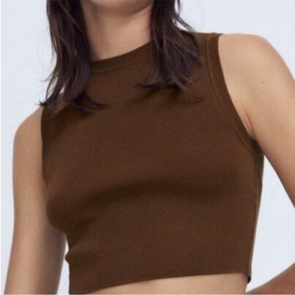 Zara Brown Cropped Basic Tank Top